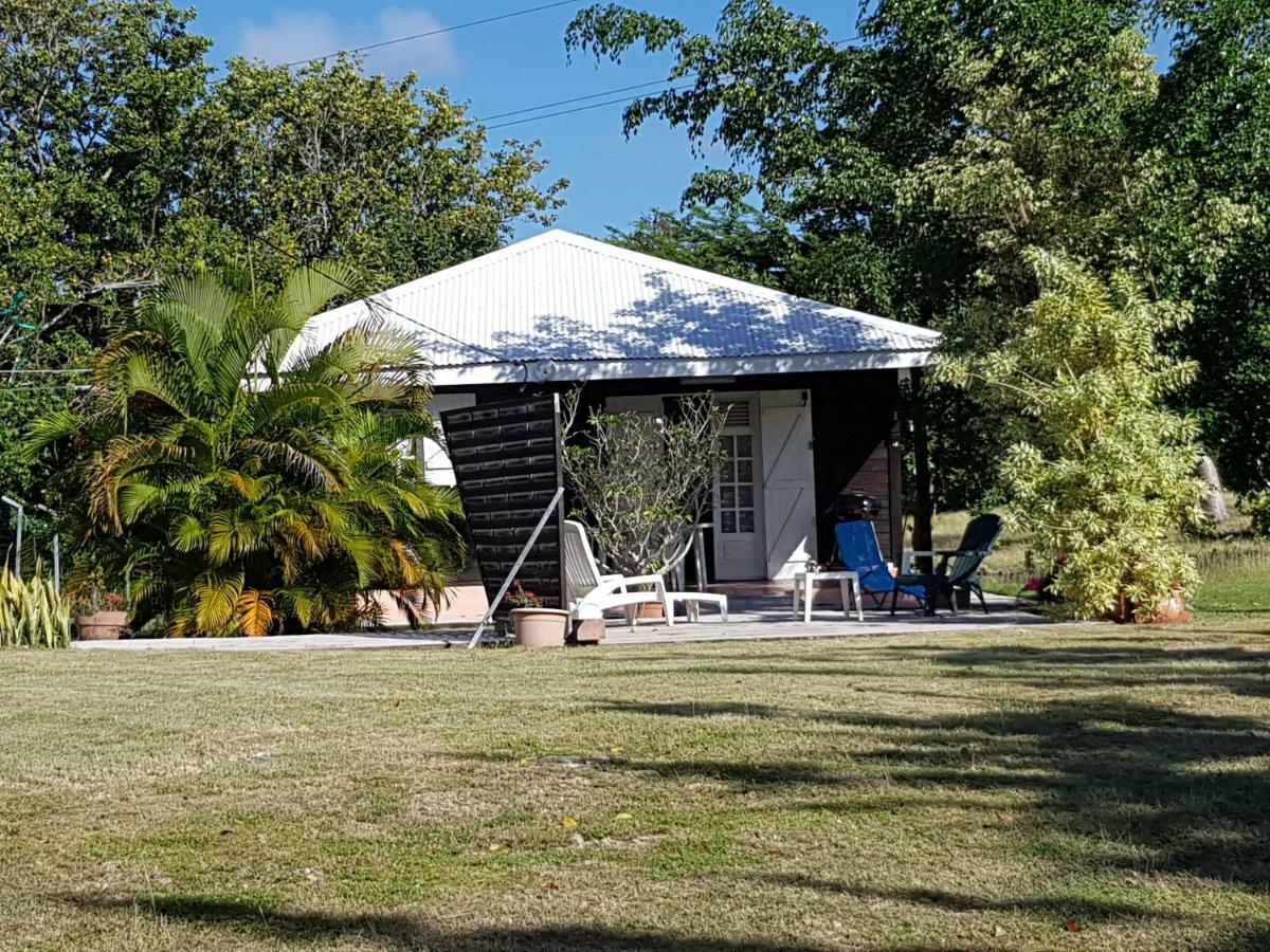 Bungalow Bassin Trouve 圣安尼 外观 照片